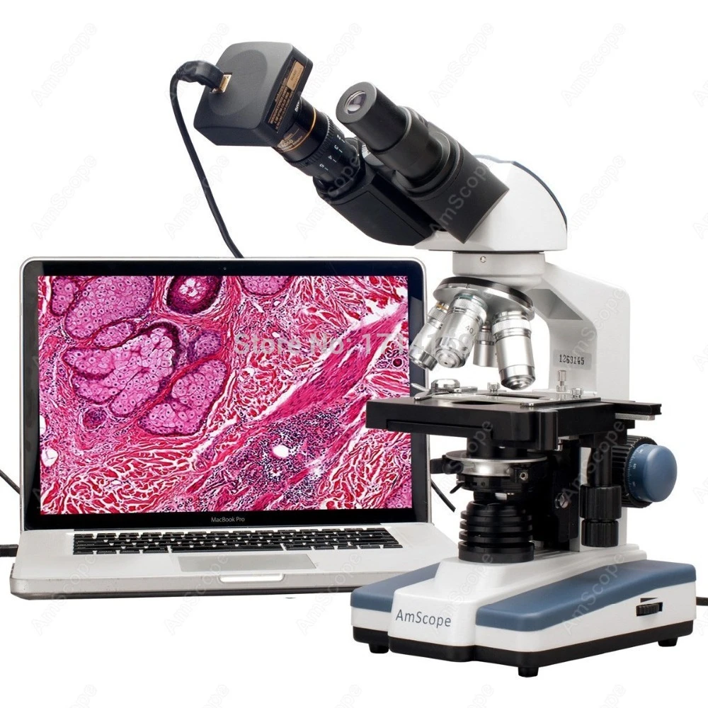 AmScope 40X-2000X LED Binocular Digital Compound Microscope w 3D Mechanical  Stage and USB Digital Camera