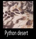 Python desert