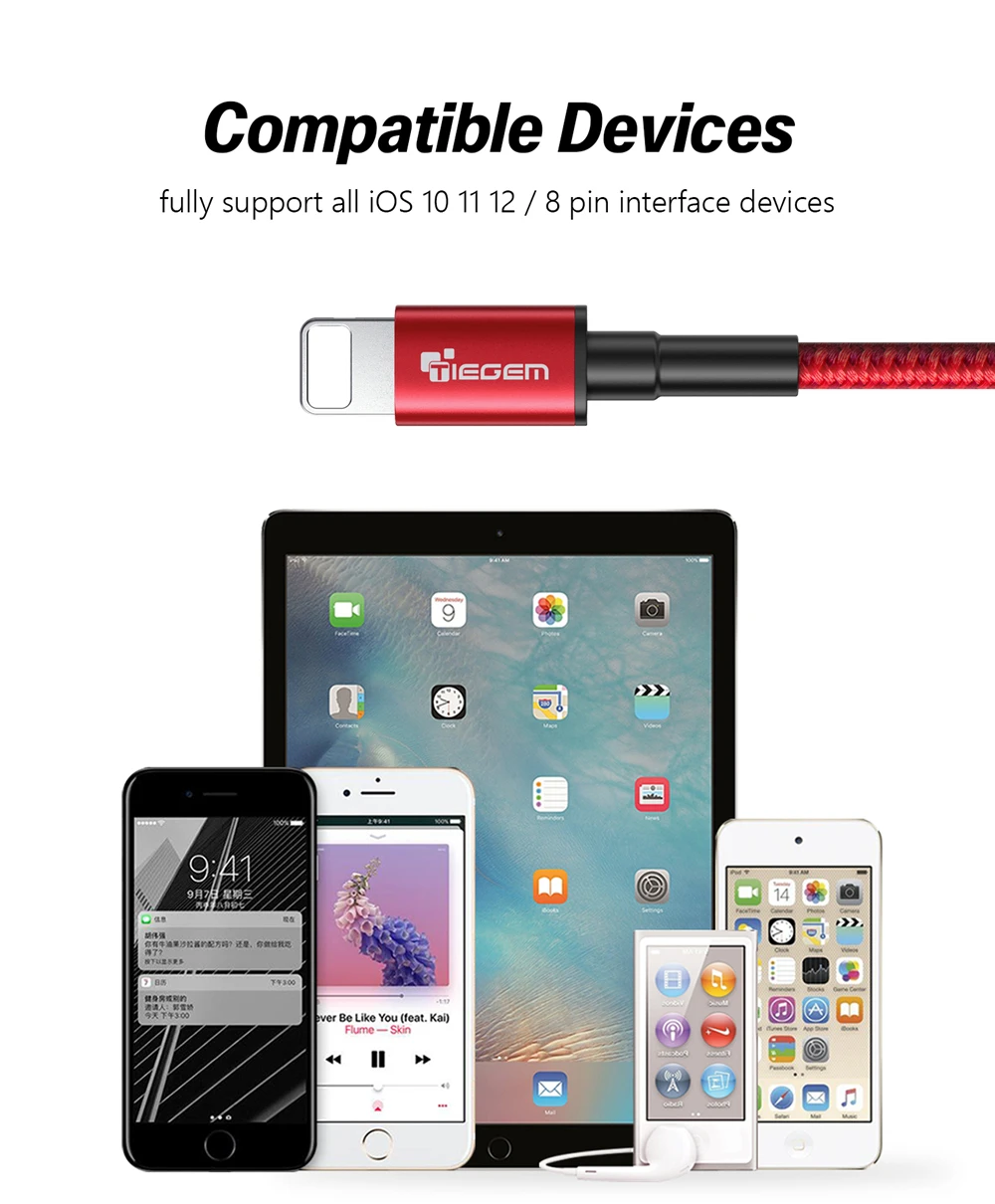 iPhone cable 11050118