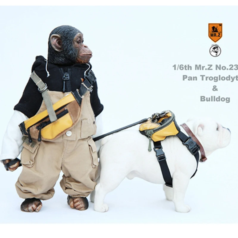Mr.Z Animal model no.23 1/6 Scale ratio chimpanzee and bulldog with