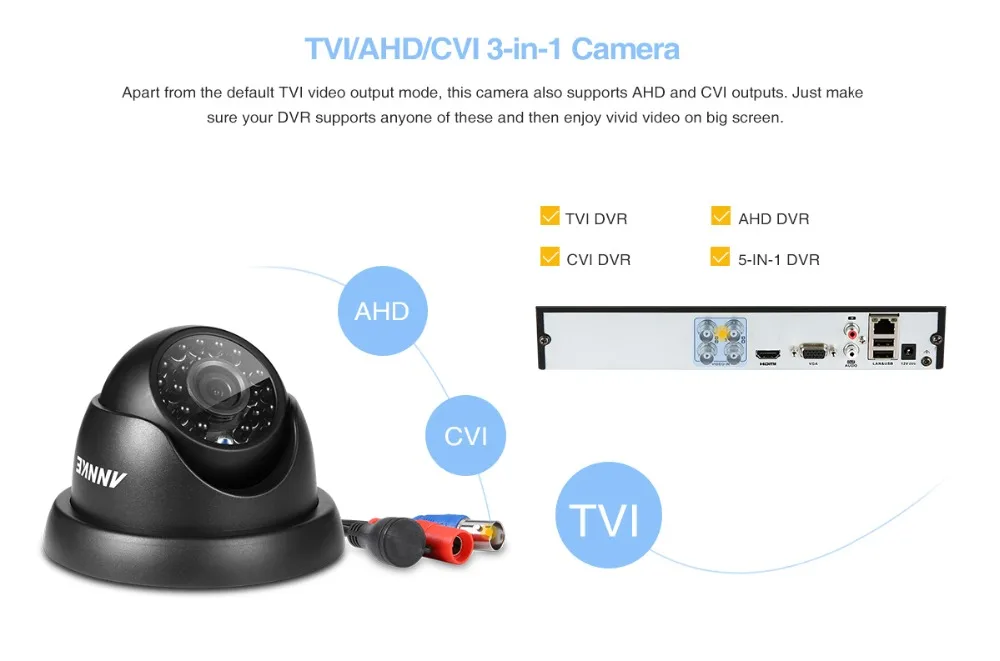 C11DV-_06
