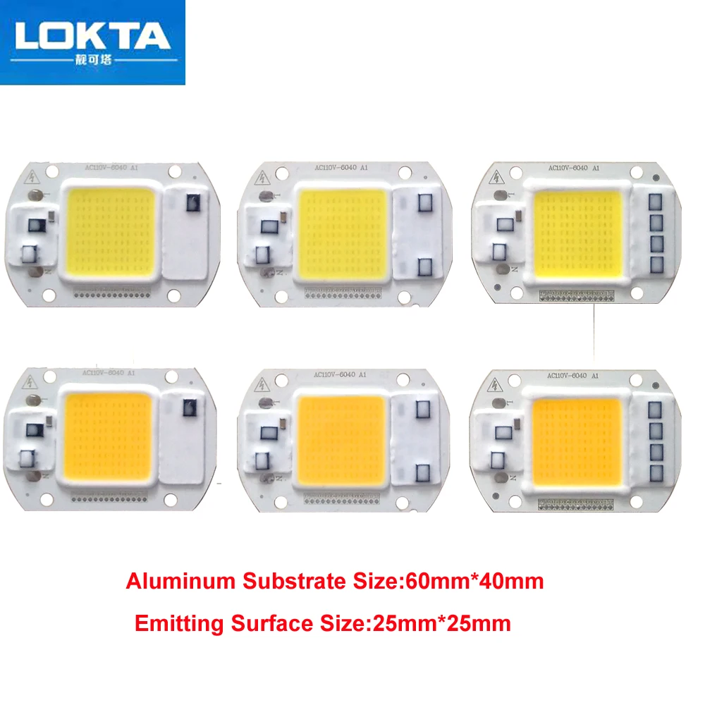 

10PCS/LOT LED COB Chip 20W 30W 50W AC110V IP65 Smart IC driver light beads Fit For diy Floodlight Streetlight White WarmWhite