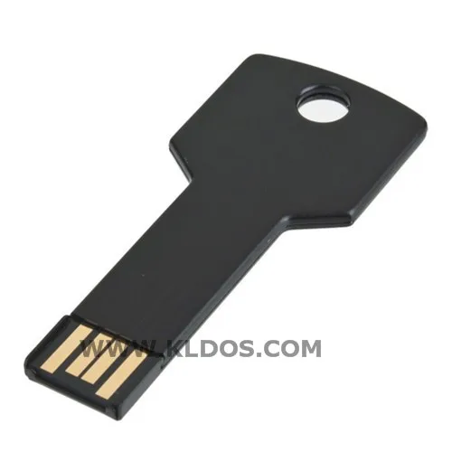 Lot 50 X 4GB USB Flash Drive Key Shape Promotional Branded PenDrive USB