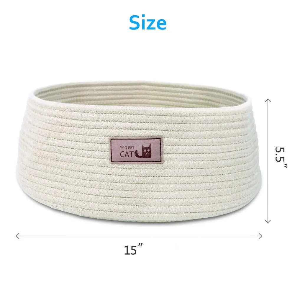 61fvY20ASuL._SL1000_