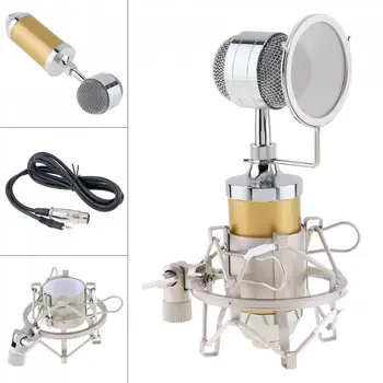 

BM 8000 Sound Studio Recording Condenser Microphone with 3.5mm Plug Stand Holder and Gold-plated Large Diaphragm Head