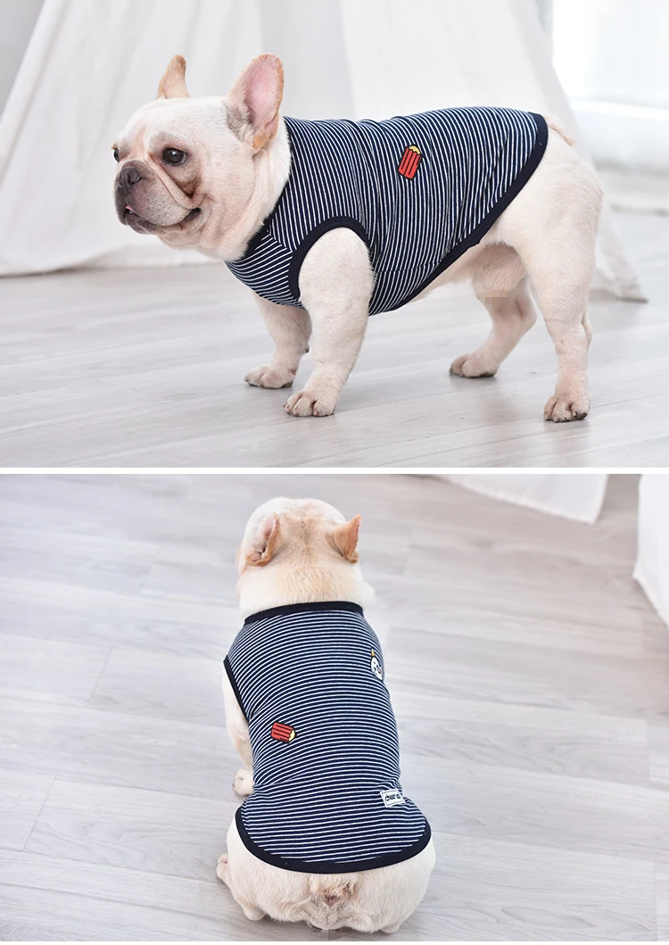 dog contume-7