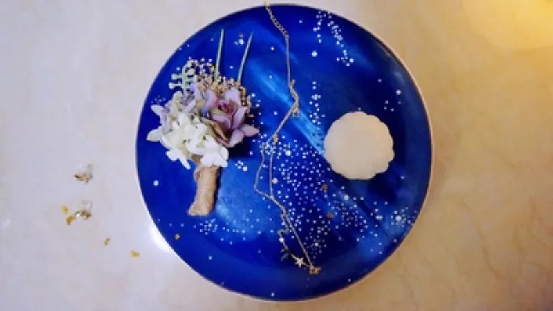 Starry Sky Dinner Plates (12)