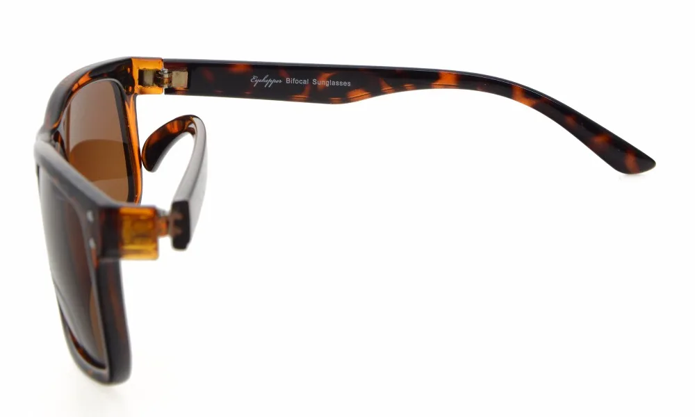 S031-Bifocal BrownLens (2)