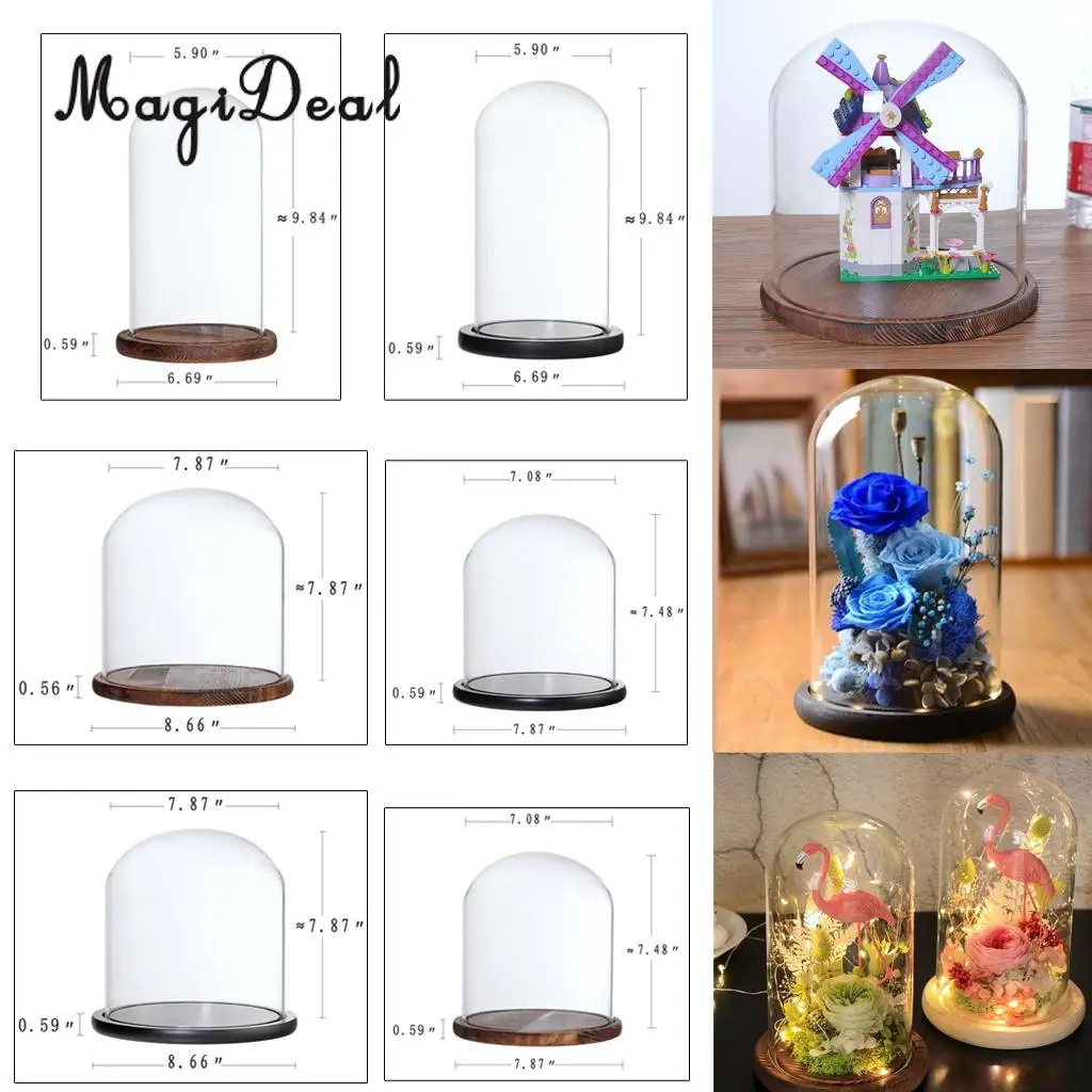 Elegant Glass Display Cloche Dome Jar Dome Flower Immortal Preservation Vase Wooden Base Home Decor Ornament