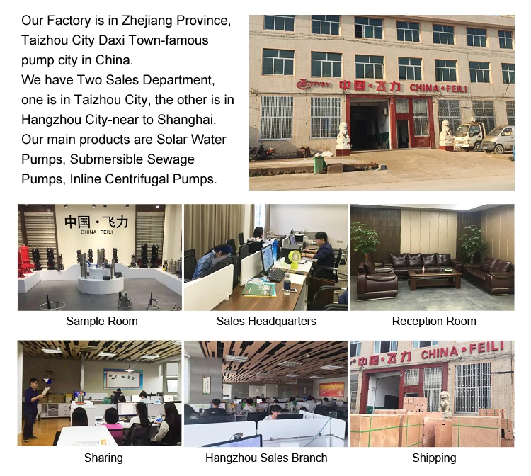 company screw pump