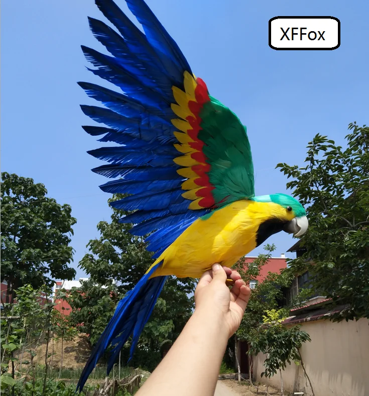 HTB1pOZLSpXXXXceapXXq6xXFXXXV