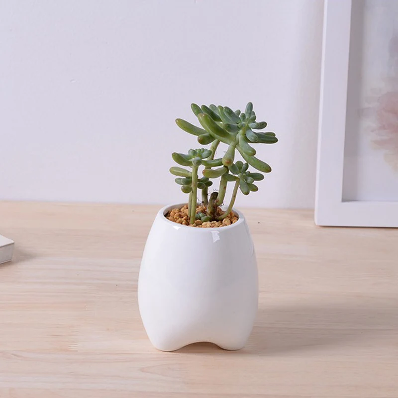 Creative tooth shape tall ceramic flowerpot white pottery succulent