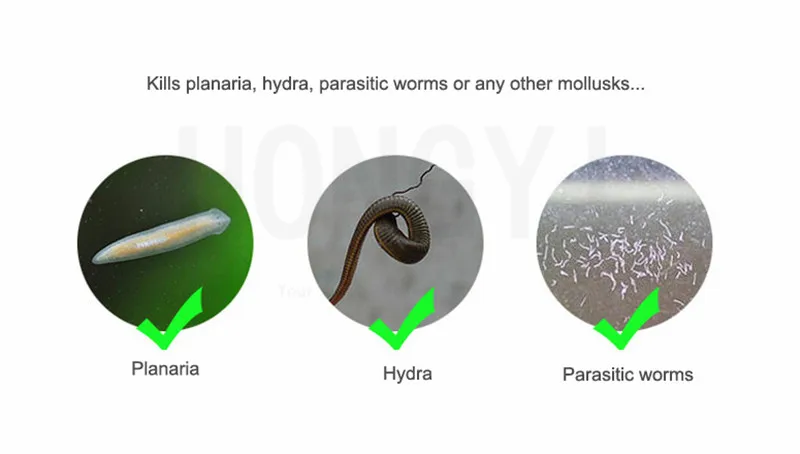 12 мл червь дезинфицирующее средство планетарный убийца для аквариума рыбы Креветки Танк