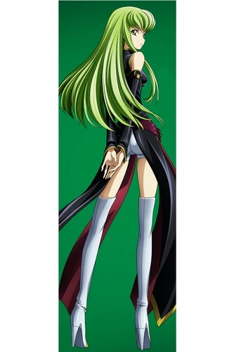 Code Geass Black Knight C C Cosplay Costume And Wig Free Shipping For Halloween And Christmas Cosplay Costume Code Geasscostume Costume Aliexpress