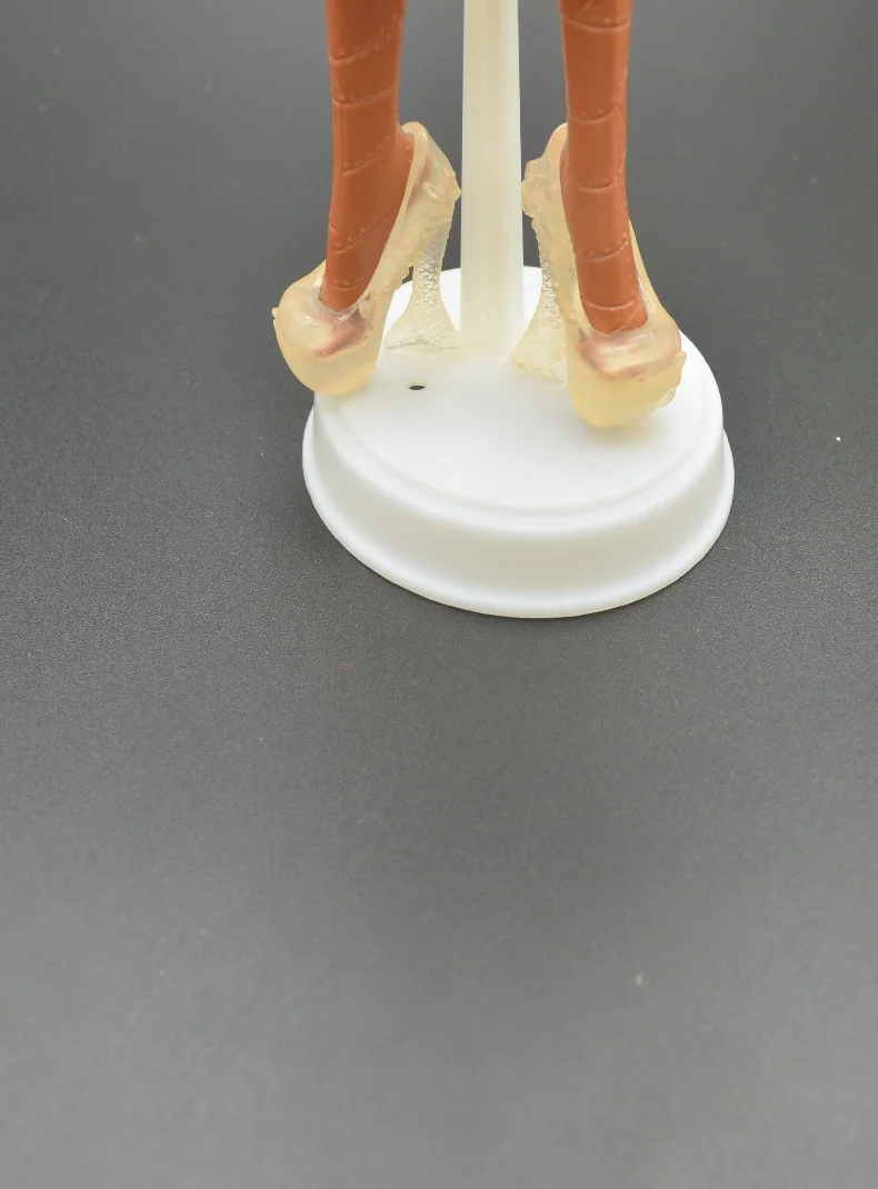 Wholesale Fashion Trend: Children's Doll Accessories - Girls' Gift Doll Shoes, Casual Style