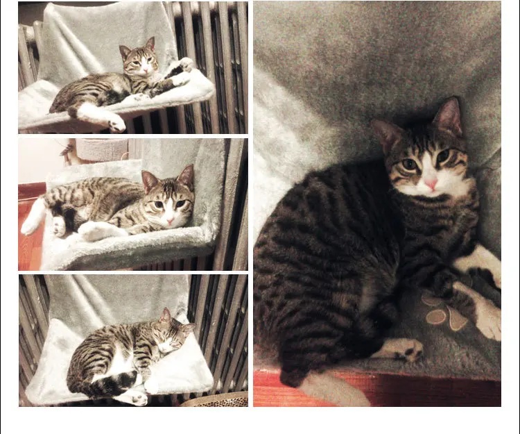HOOPET кошка Люлька-гамак радиатор кровать подушка с регулируемым держателем шезлонг для кошек овчины эффект покрытия