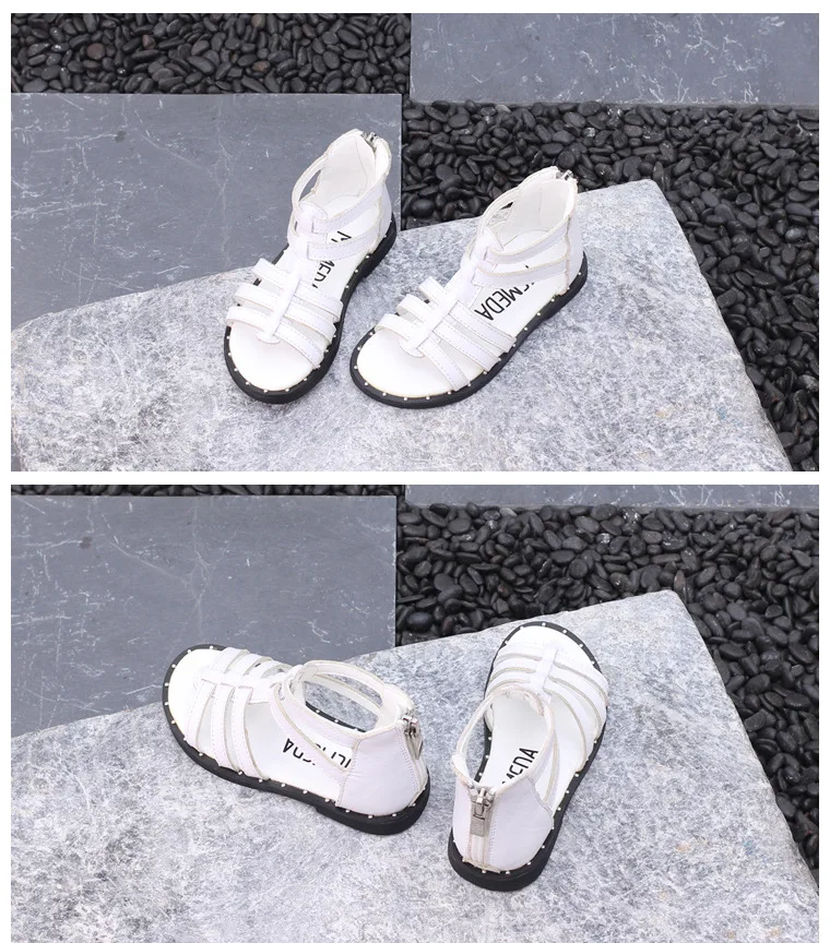 8581484710_404444537