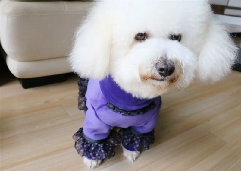 dog girl jumpsuits (5)