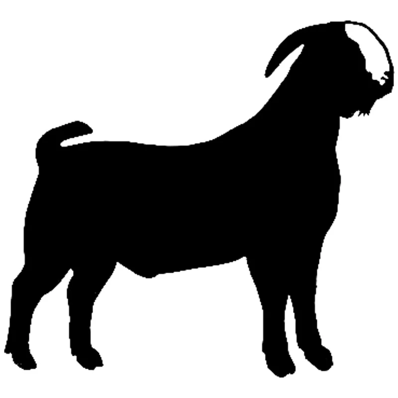 12 5 см * 11 .. Boer Goat Animal автомобильные аксессуары виниловые наклейки