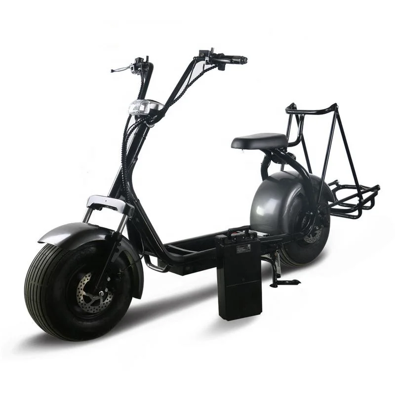 2019-fashion-new-design-1500w-60v-20ah (3)