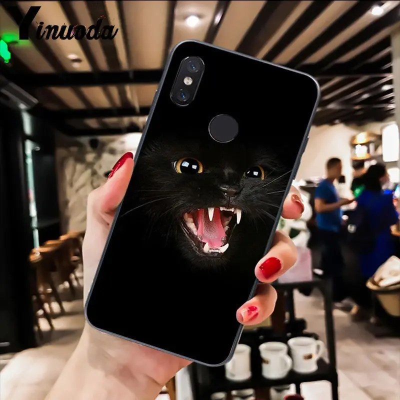 Cute Black Cat Staring Eyes