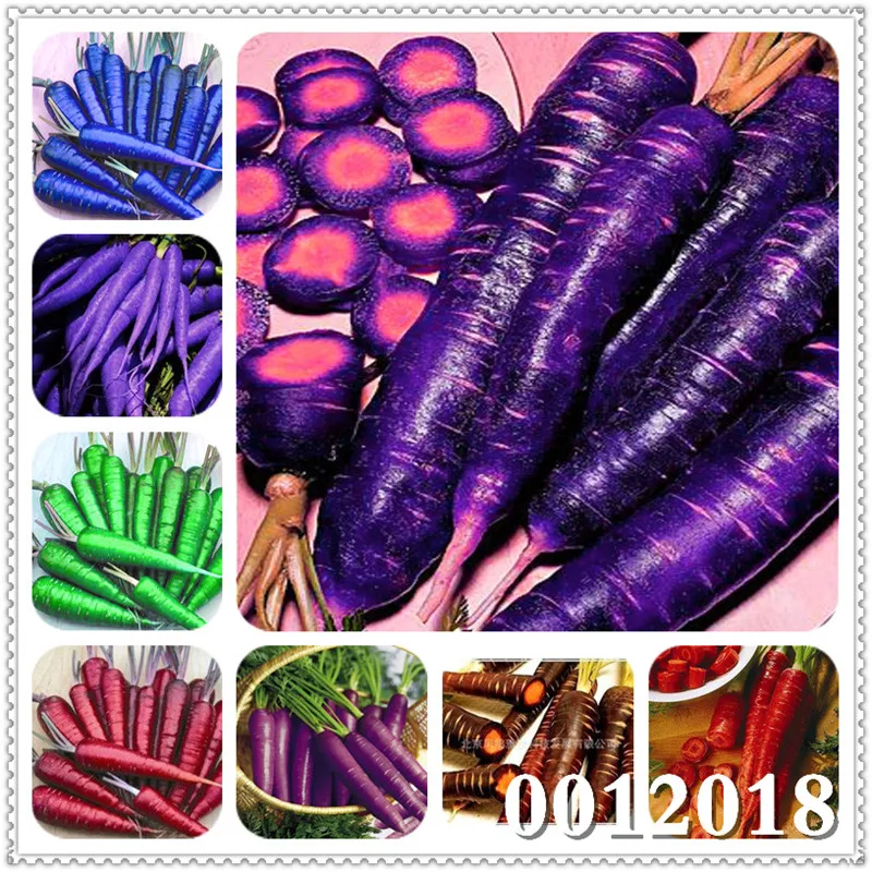 

100 pcs Giant Radish Carrot Bonsai Fruit Vegetable Plant Sweet And Healthy Plant For Home Garden DIY Bonsai Plantes Semente