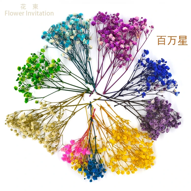 

Flower Invitation Millions of stars _ high-quality decorative diy manual living dried flower embossed in yunnan