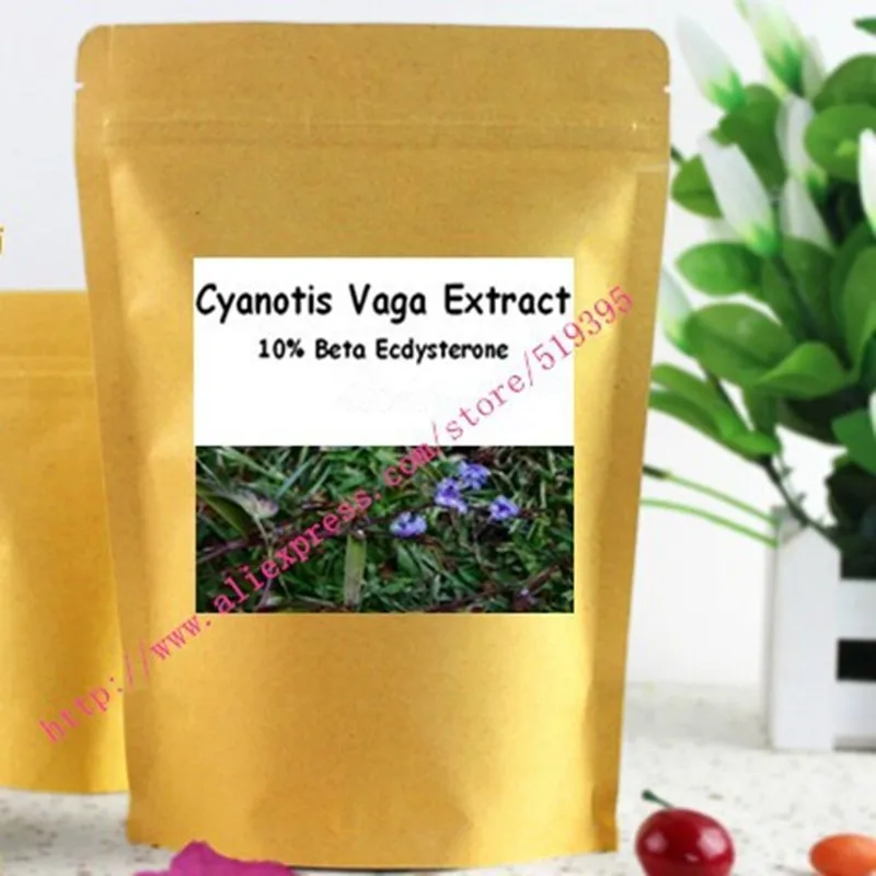 

250gram Cyanotis Vaga Extract 10% Beta Ecdysterone Powder free shipping