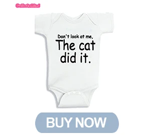 the cat did it buy now
