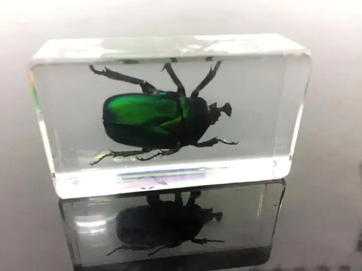 Китайский из прозрачного акрила Lucite Insect коллекция Роза соломинка Жук пресс-папье