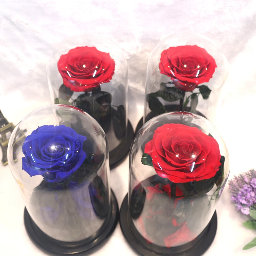 Стеклянный чехол для маленького принца, сохраненный цветок розы, красные розы на День святого Валентина, Рождество, свадебные подарки