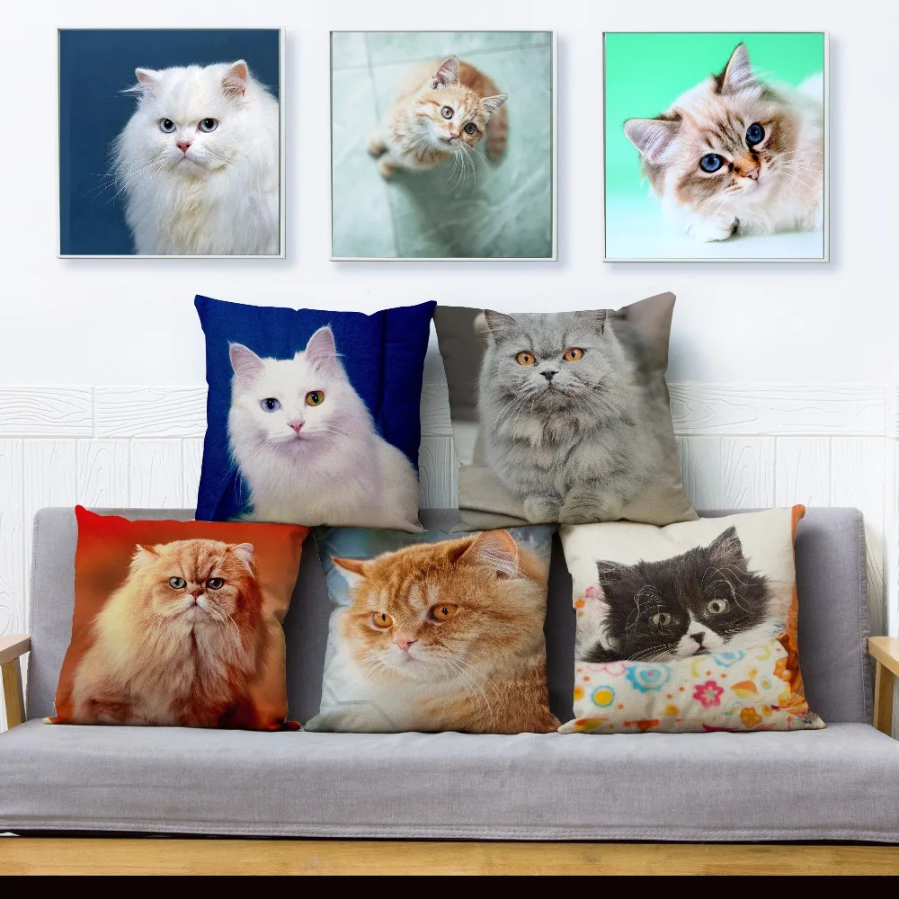 

Cute Persian Cat Print Throw Pillow Cover 45*45cm Square Cushion Covers Cotton Linen Pillow Case Sofa Home Decor Pillows Cases