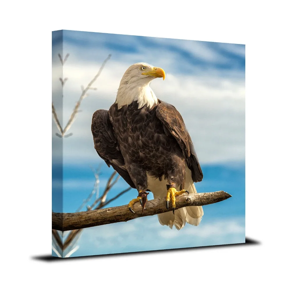 1 Panel Framed Wall Art Bald Eagle Painting Print On Canvas For Home