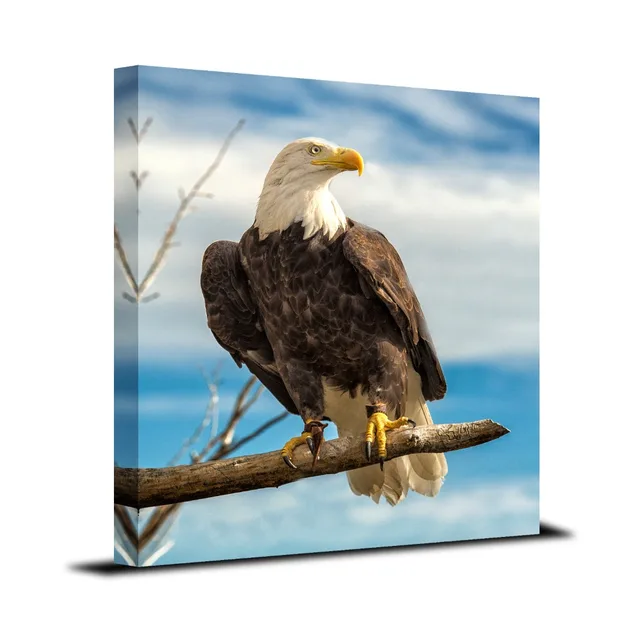1 Panel Framed Wall Art Bald Eagle Painting Print On Canvas For Home