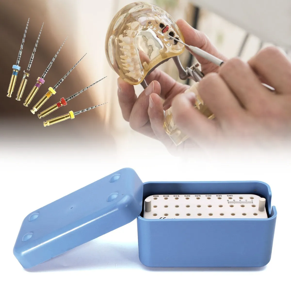 40 Holes Dental Plastic Endo Box With A Ruler Files Bur Holder Blocks