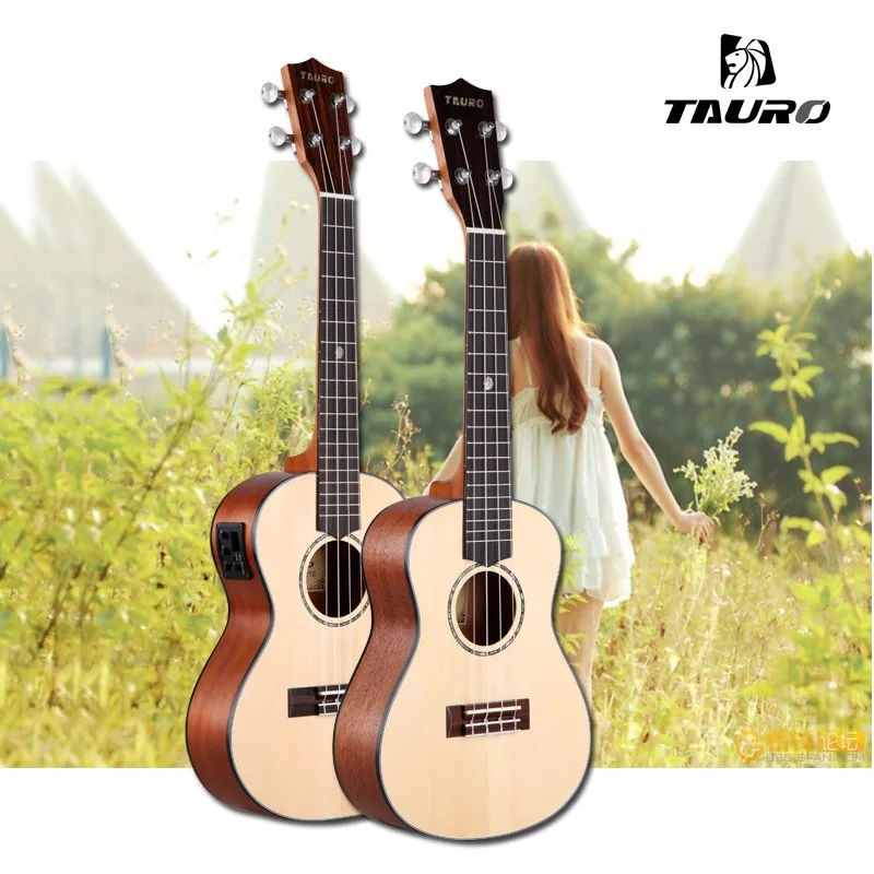 ukulele (5)