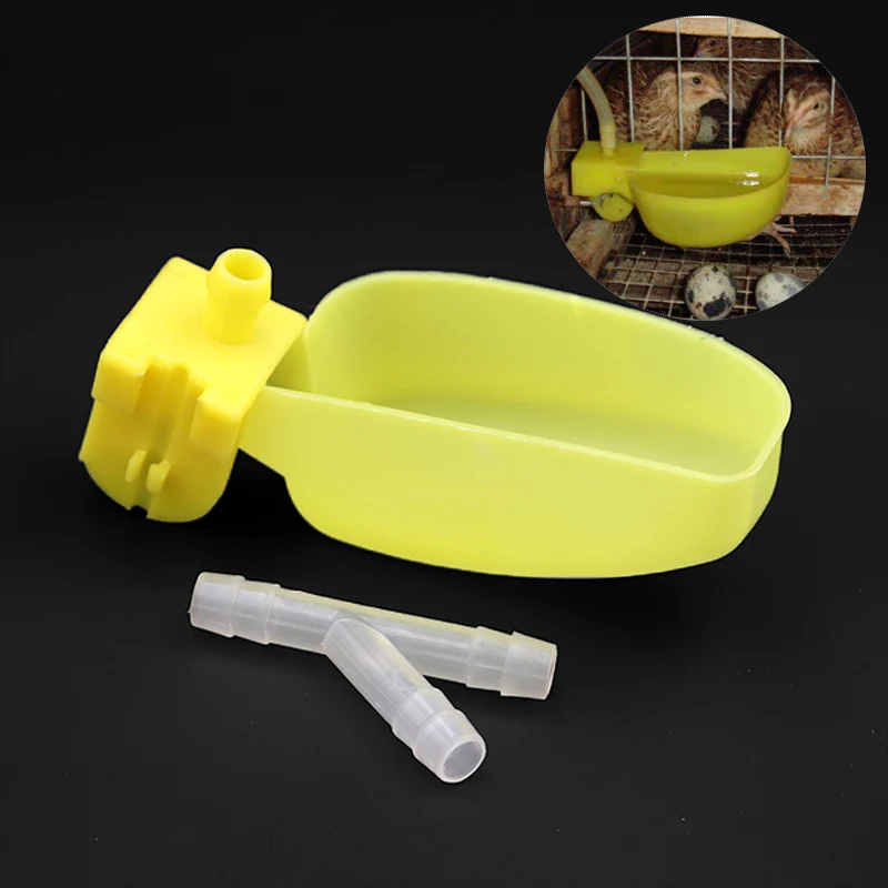 

5 Pcs Bird Quail Waterers Automatic Drinker Hanging Cups Piegeon Quail Parrot Water Feeder Bowl Bird Water Bottle
