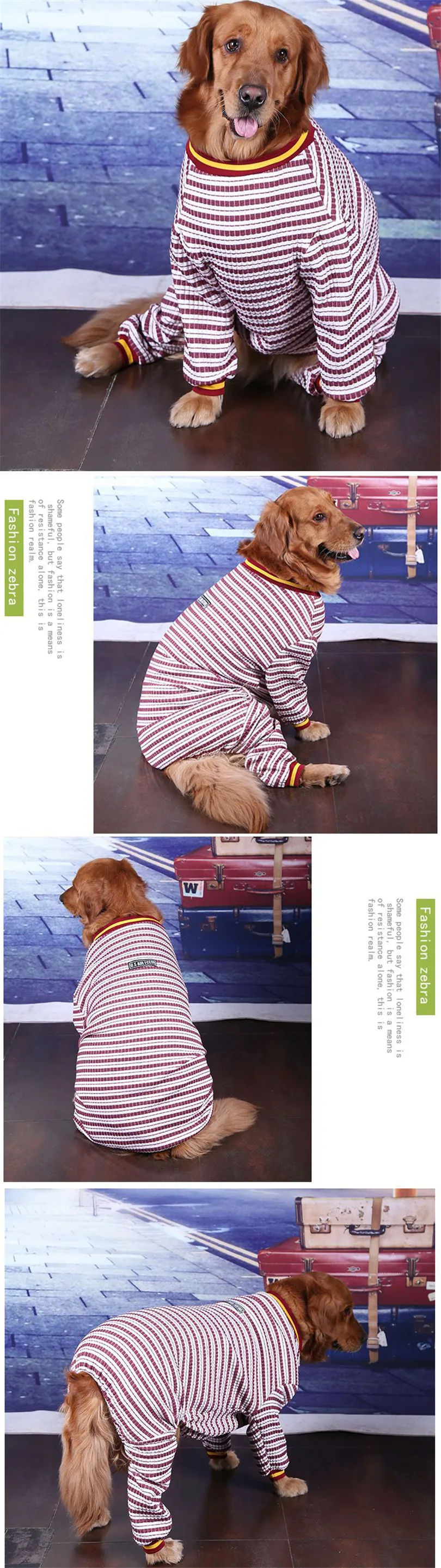 2019 Dog Hoodie Spring (1)