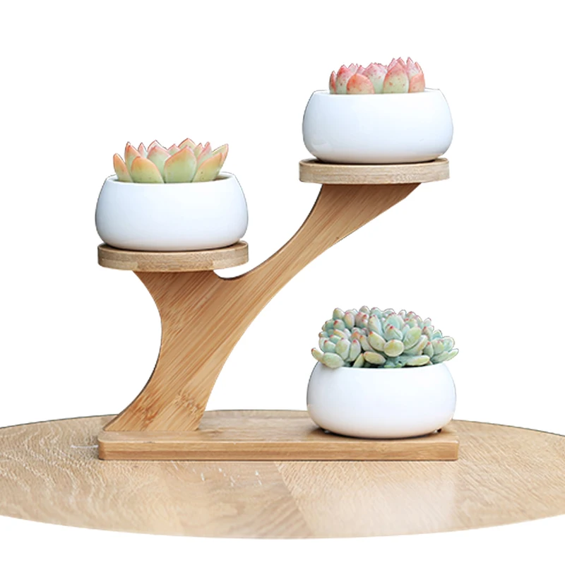 

Succulent Flowerpot Whiteness Ceramics Flowerpot Meat Plants Desktop Flowerpot With bamboo frame Bonsai Pot pots for flowers