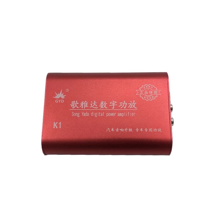 dsp digital amplifier (1)