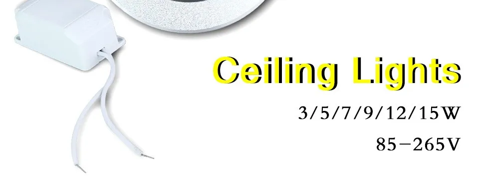 Ceiling Light LED BULB (2)
