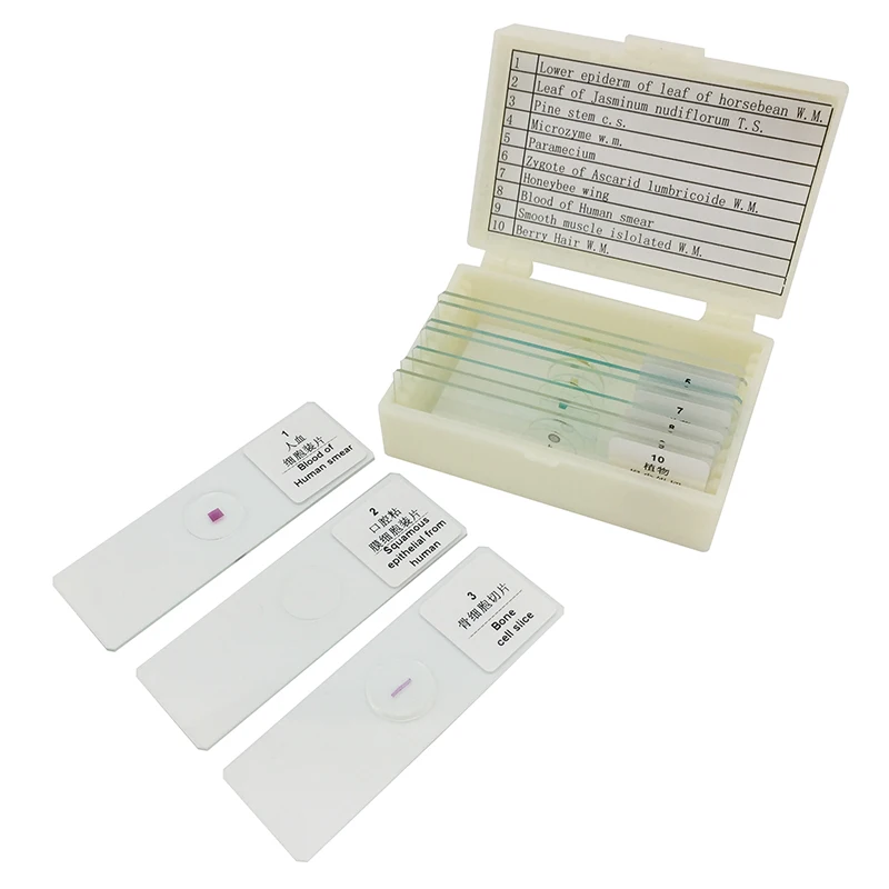 Buy Professional Biologic Specimen Slides 10 PCS