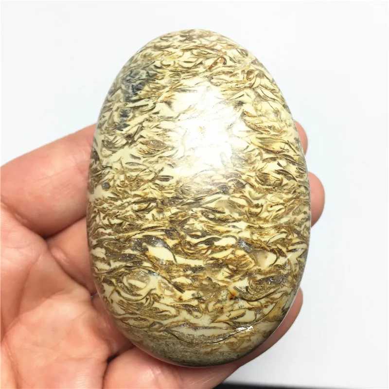 08 (3)
