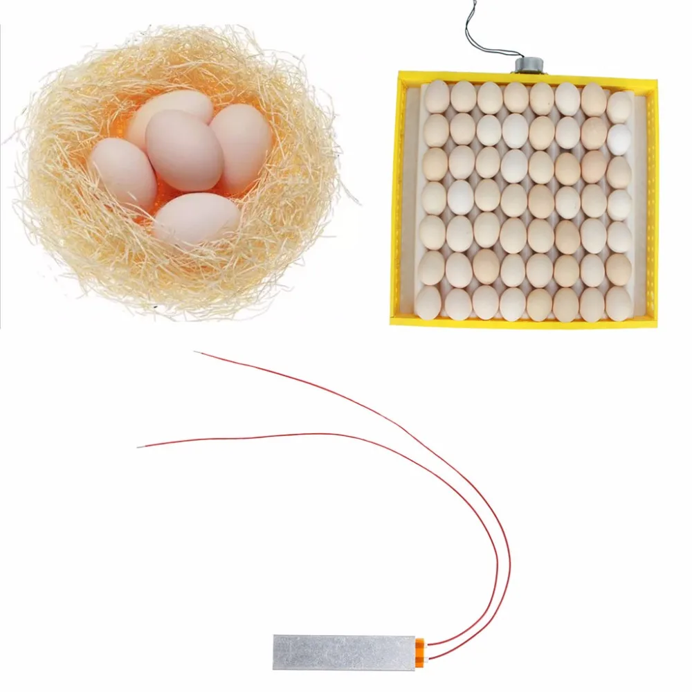 Кулер для обогревателя нагревательный элемент пластины для яиц принадлежности для инкубаторов 110 В