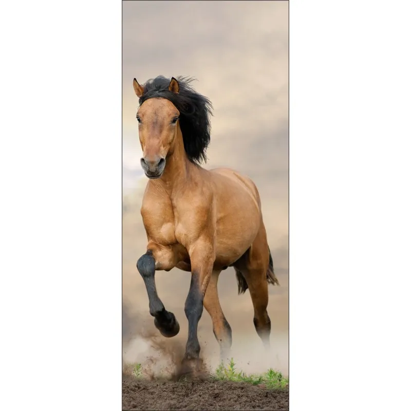 stickers-porte-cheval (1)