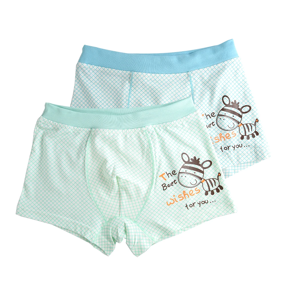 2 PIece Kids Boys Shorts Panties Baby Boy Underwear for Children Boxers