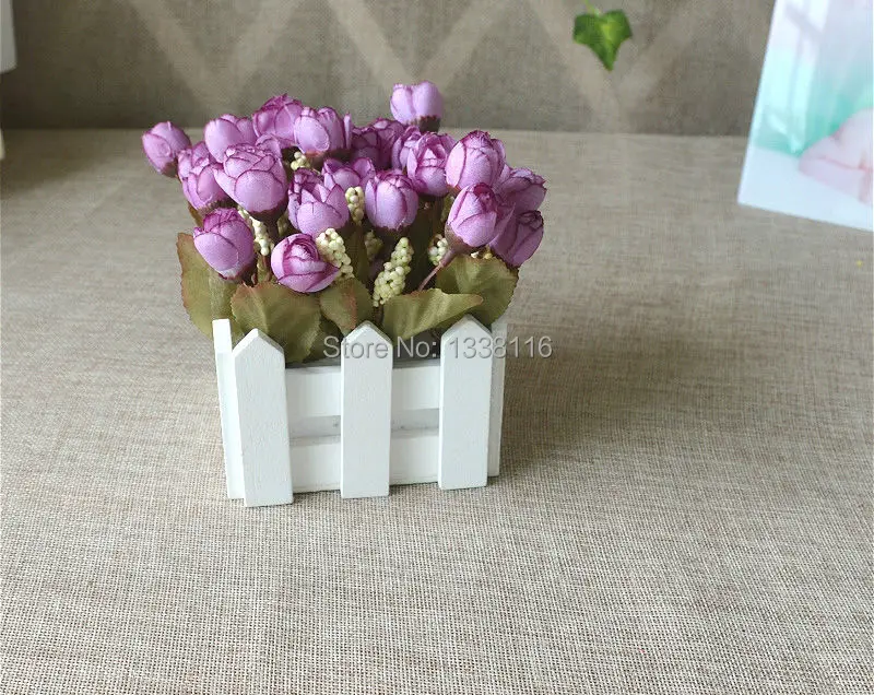 10cm Purple
