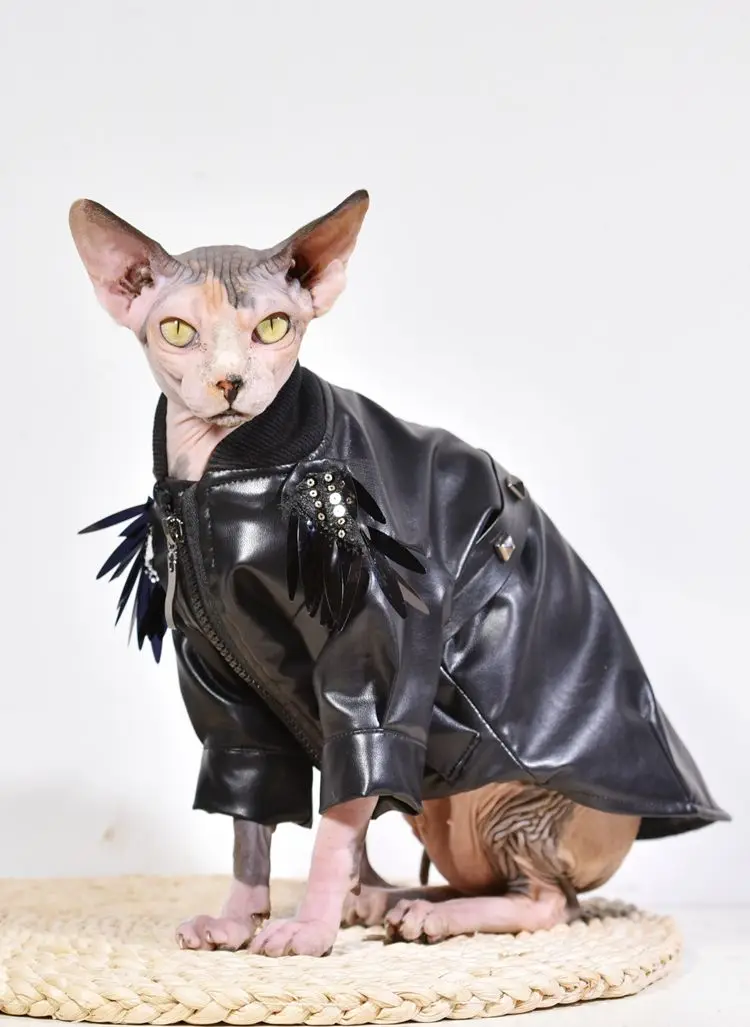 одежда для лысых кошек. шуба для лысой кошки. шуба сфинкса. кошка в шубке. сфинкс в норковой шубе.