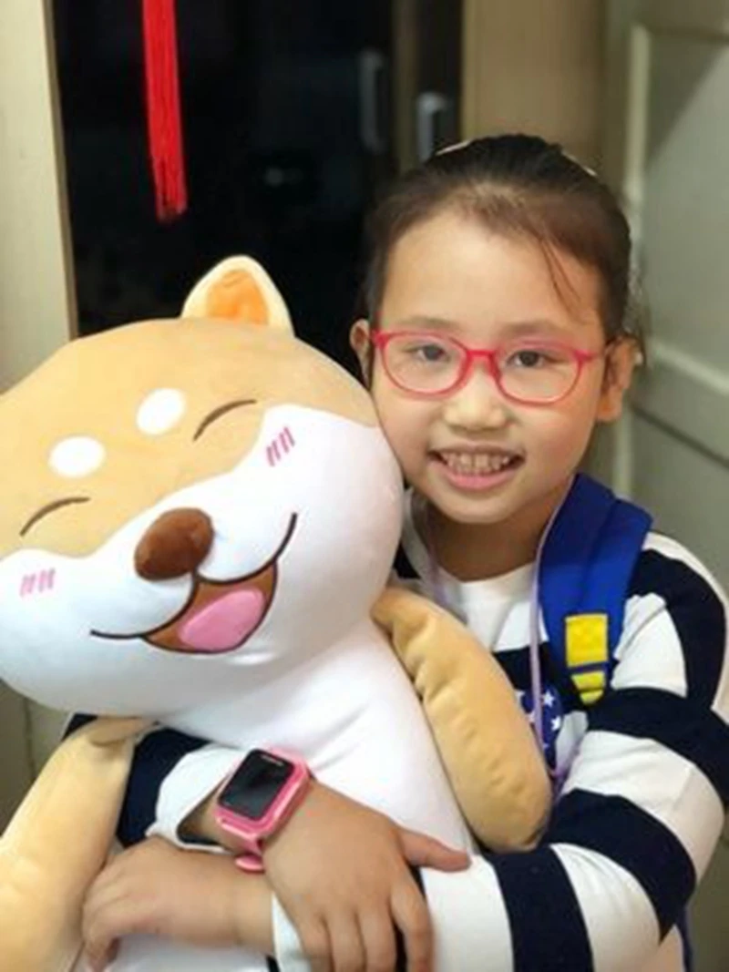 pop soft cartoon husky plush toy stuffed anime Shiba Inu  Bulldog Pugs Dachshund doll animals pillow gift for kids 31inch 80cm DY61956(12)