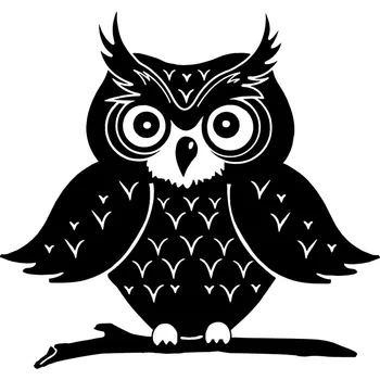 

15.5X14.6CM Big Eyebrow Owl Fashion Vinyl Car Stickers Decal Black Silver Accessories S6-2576